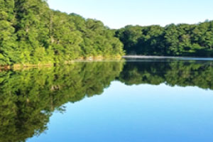 Image Alt Tags
Custom Gem
A still body of water reflects a dense line of green trees that border the far shore under a clear, light-blue sky. The reflection of the forest is nearly perfectly mirrored on the smooth water's surface.